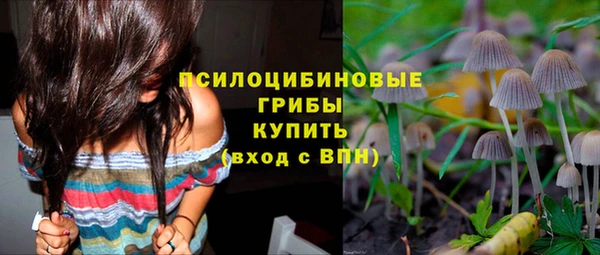 тгк Вяземский